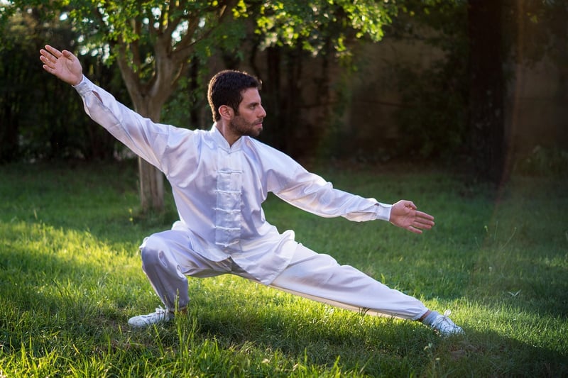 Sun Style Tai Chi Movements