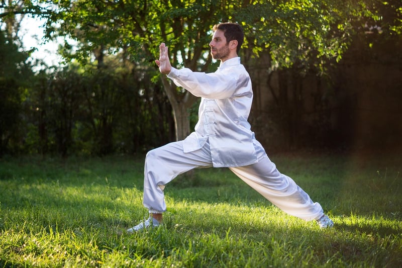 Sun Style Tai Chi Harmony